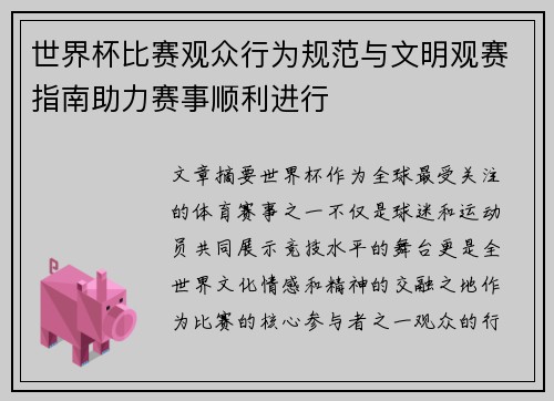 世界杯比赛观众行为规范与文明观赛指南助力赛事顺利进行