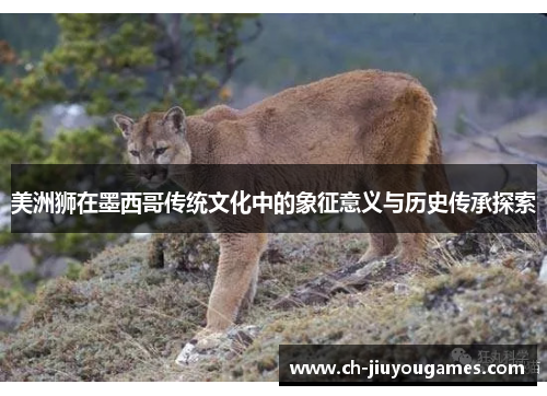 美洲狮在墨西哥传统文化中的象征意义与历史传承探索