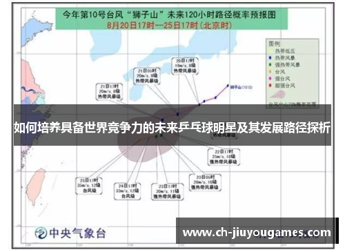 如何培养具备世界竞争力的未来乒乓球明星及其发展路径探析